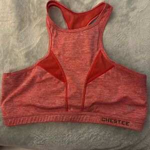 Chestee sports bra